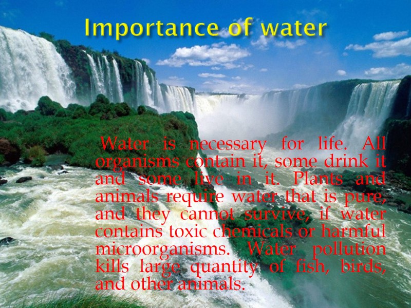 Importance of water           